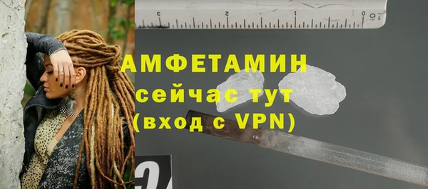 прущие крисы Бородино